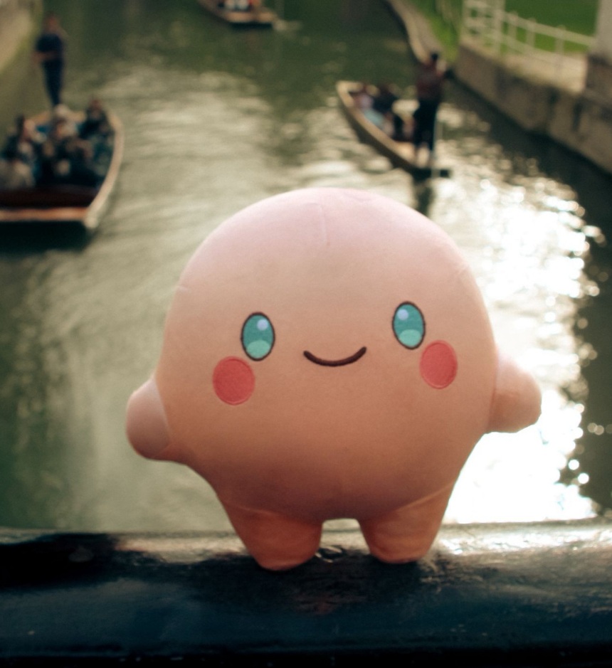 Luminid plush in Cambridge