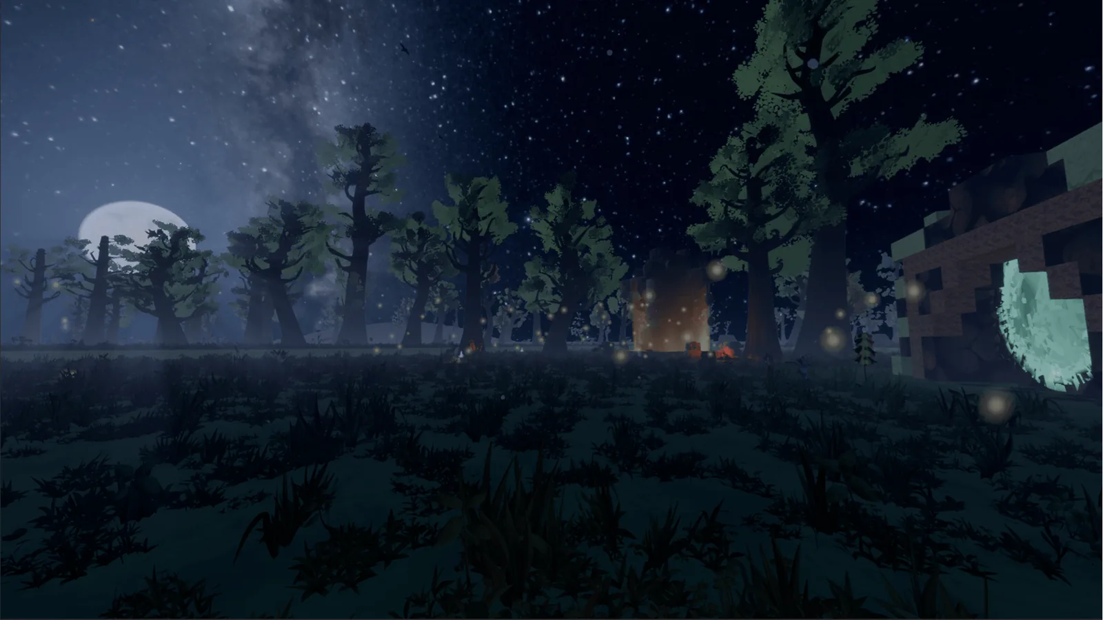 Night meadow under the Milky Way